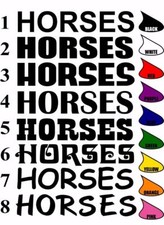 2 x HORSES decals, large vinyl stickers for horsebox trailer over 1 meter long