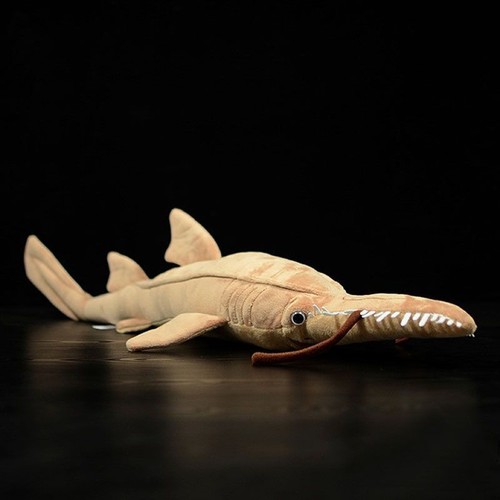 66cm snout saw shark - snout,