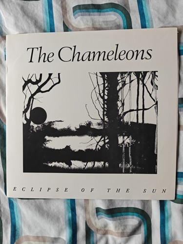 The chameleons eclipse - chameleons,