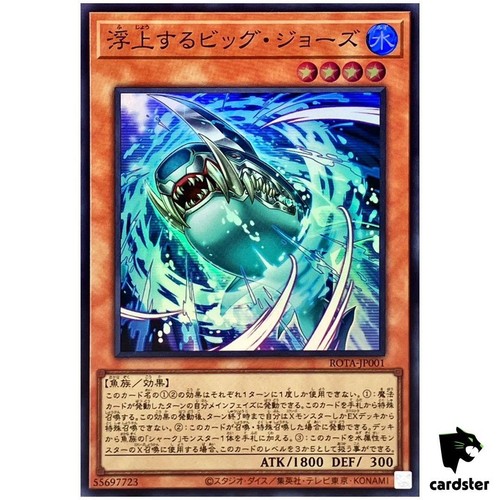 Surfacing big jaws rota - big, rota-jp001
