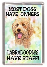 Labradoodle Dog Fridge Magnet
