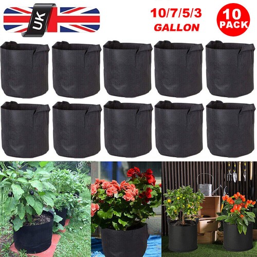 Pack large plant grow - 10, bags