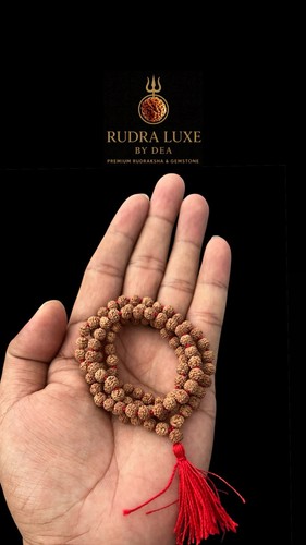 Mukhi rudraksha mala 108 - 5,