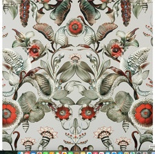 Coccinella Bella Wallpaper by