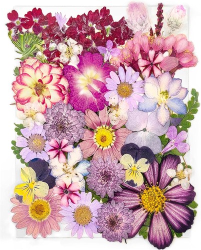Types 37pcs purple dried - 15,