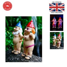 Compact Funny Gnome Statues -