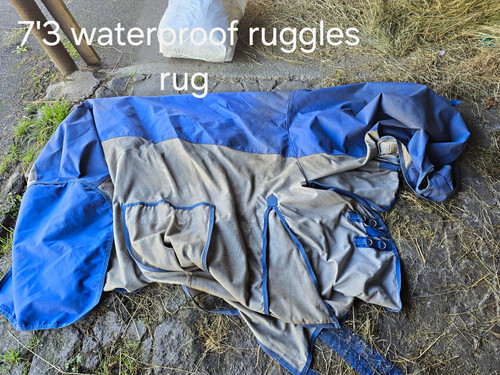 Ruggles waterproof horse - waterproof,