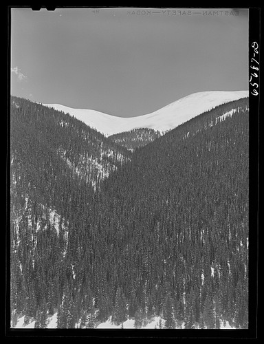 Arapahoe national forest - arapahoe,