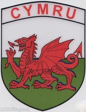 Wales Welsh Dragon CYMRU Flag