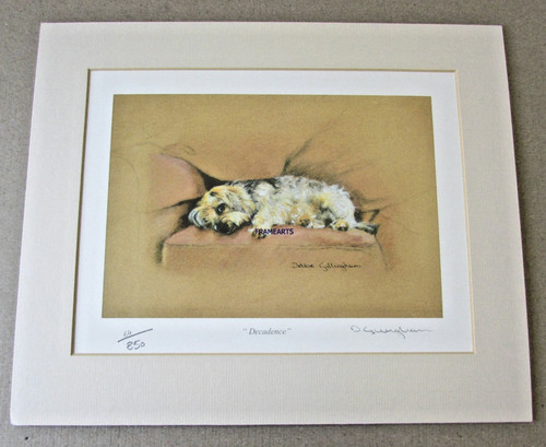 Yorkshire terrier limited - yorkshire,