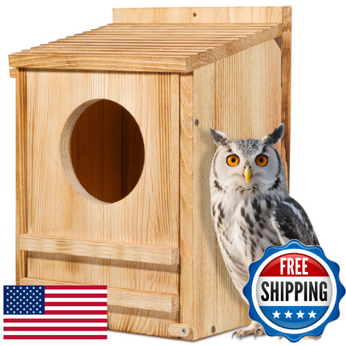 Barn owl house - owl, nesting