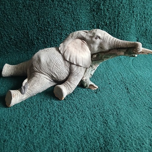 Tuskers elephant limited - tuskers,