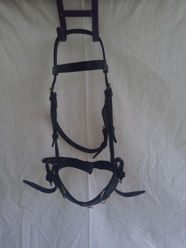 Zaldi lunge cavesson - cavesson/bridle,