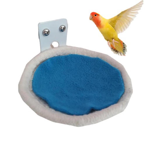 Round budgie bird - round, bed