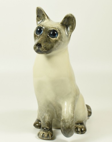 Lovely winstanley siamese cat - winstanley,