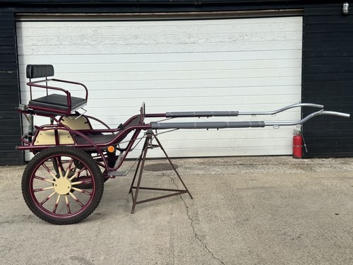 Talbot brothers horse - talbot,