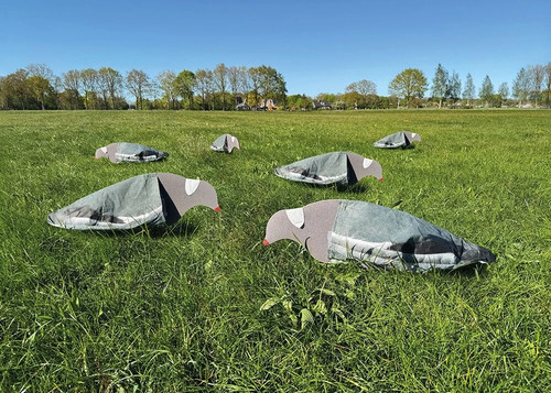 Pigeon decoys set 6 - pigeon,
