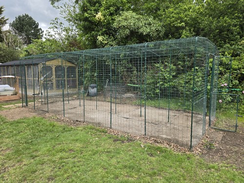 Omlet walk chicken - walk-in,