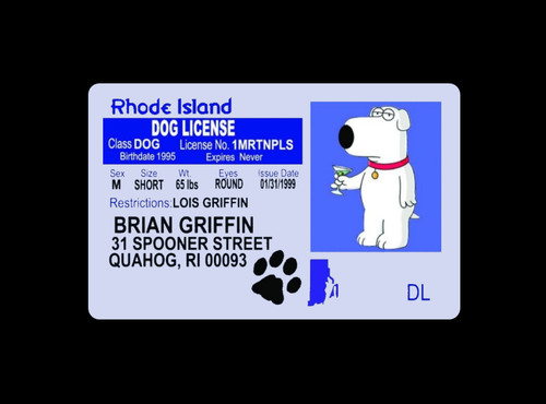 Family guy brian griffin - family,