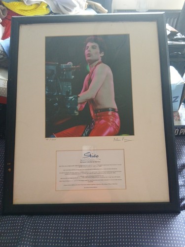 Freddie mercury limited - freddie,