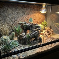 Resin artificial rock reptile - resin,