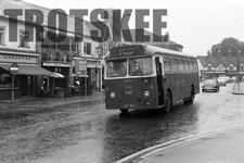 35mm Negative Potteries PMT