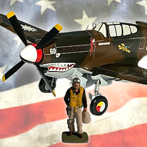 Bravo delta warhawk kiln - p-40,