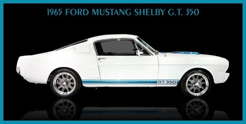 1965 ford mustang shelby t - 1965, g.t