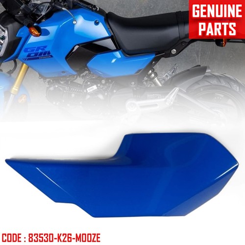 Genuine right side cover - cover, panel
