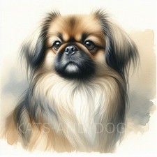 PEKINGESE DOG  Watercolour ART