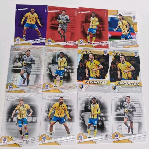 Panini efl prestige - efl, 2026