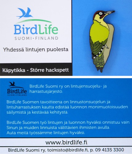 Rspb pin badge - rspb,