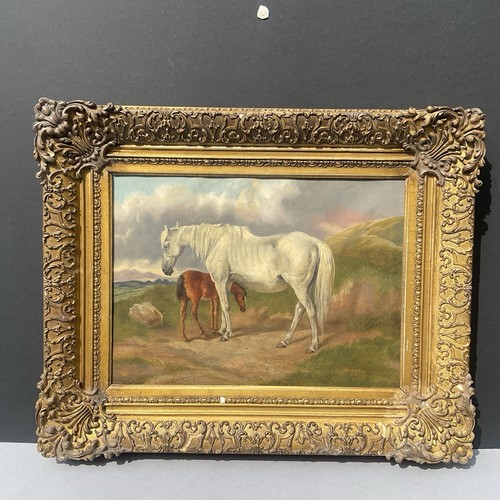 Century oil on - on, canvas