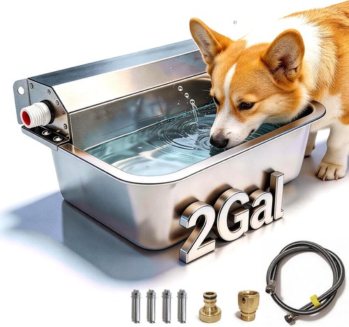 Stainless steel automatic - stainless,