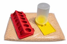 Quail chick chicken feeder - quail,