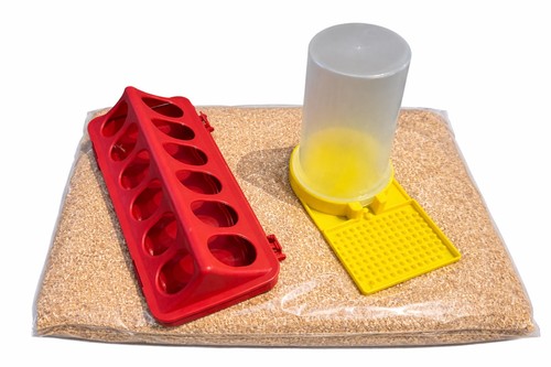 Quail chick chicken feeder - feeder, &