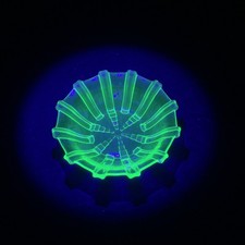Walther and sohne - sohne, uranium