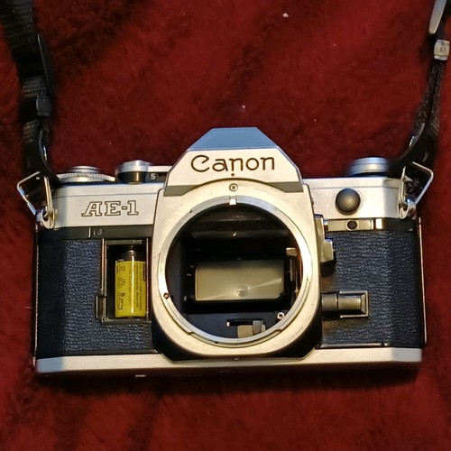 Canon slr film vintage - canon,