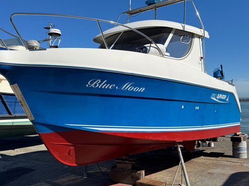 Arvor 250 fast fishing boat - 250,