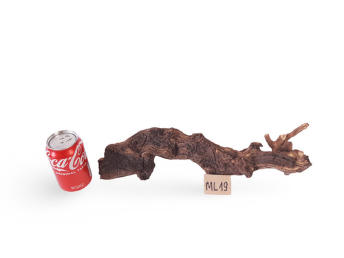 Fish tank driftwood aquarium - fish,