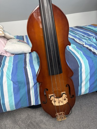 Eminence double bass - double,