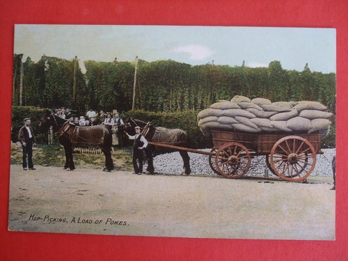 Old social history - old,