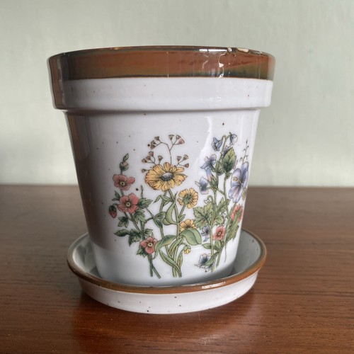 Vintage speckled plant - plant, pot