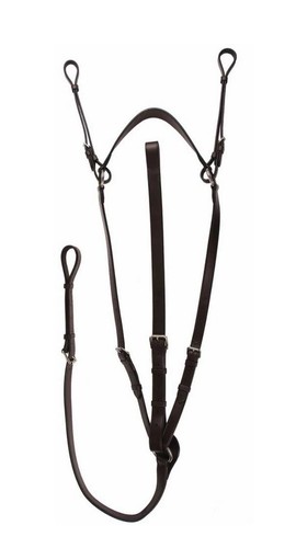 Martingale horse - martingale,