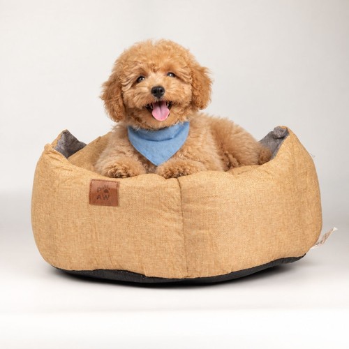Paw bed medium royal - medium, crown