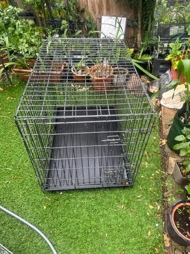 Med large dog cage dark - cage, silver