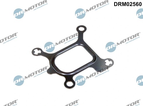 Gasket coolant flange - gasket,