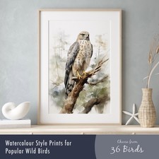 Watercolour Bird Prints –