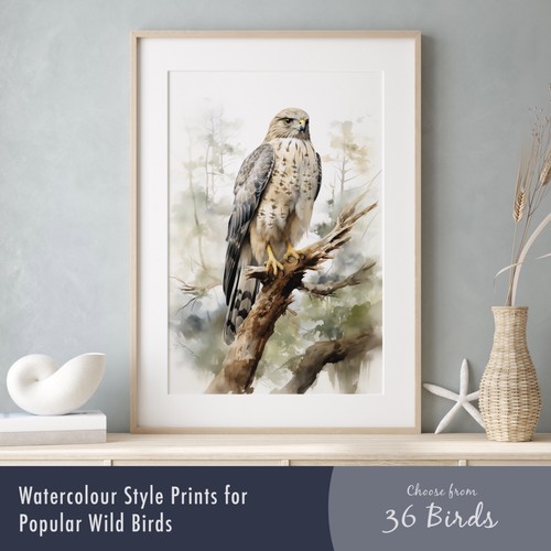 Watercolour bird prints - watercolour, –