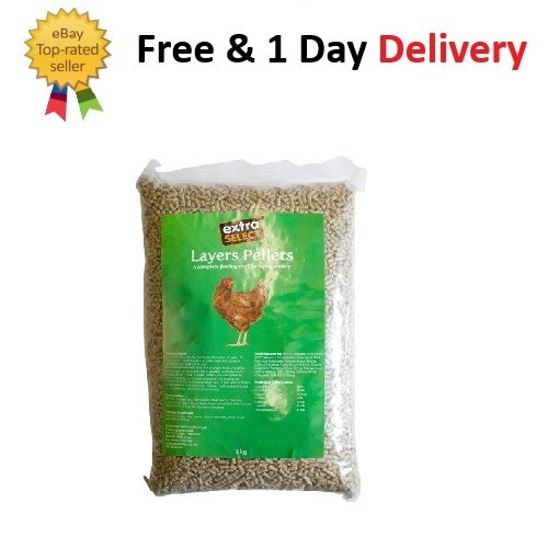 Chicken feed layers pellets - feed,